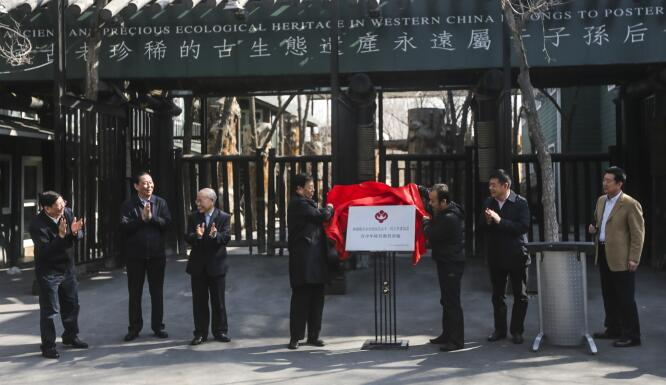 圖片關鍵詞 圖片關鍵詞