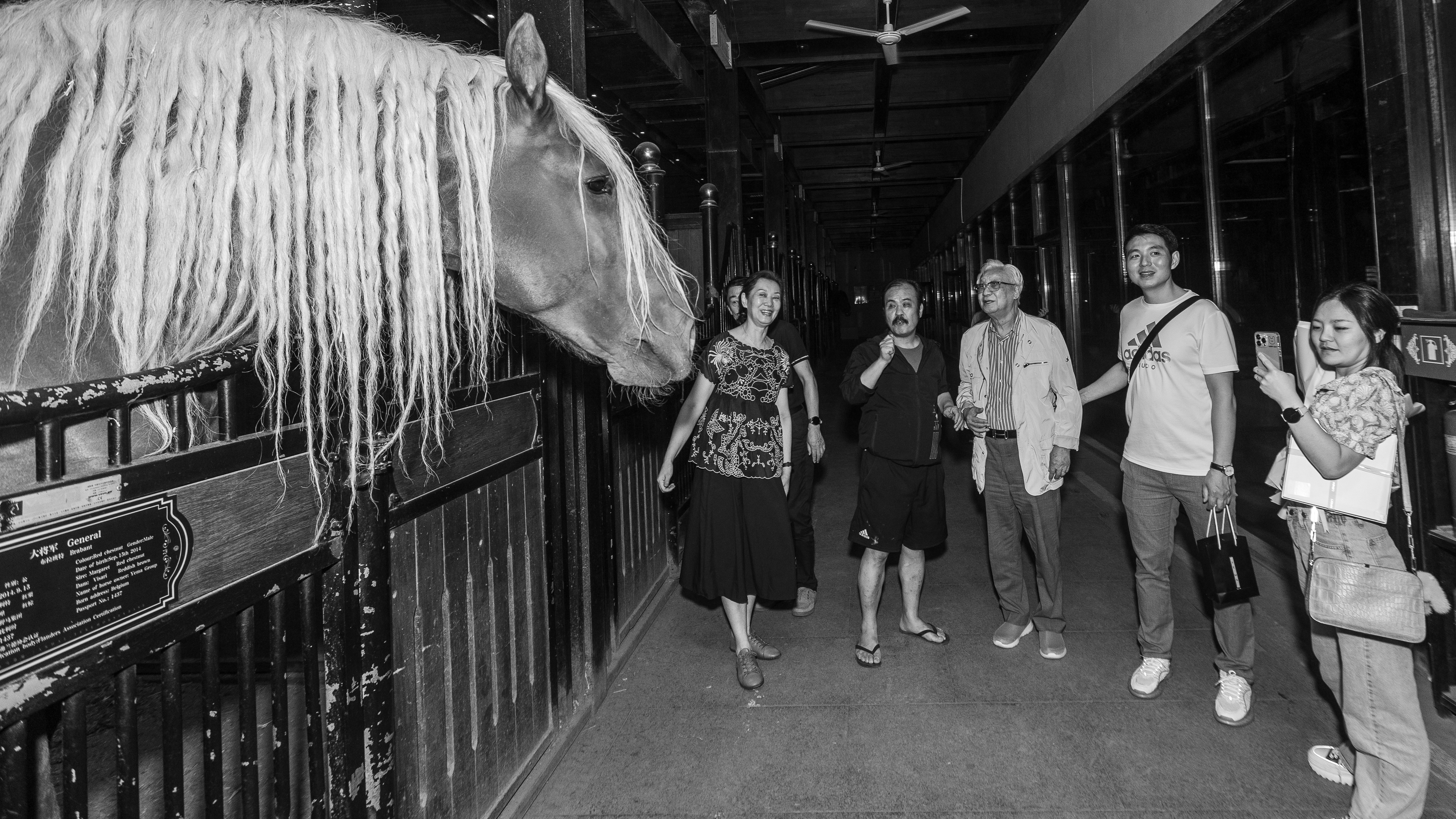 圖片關(guān)鍵詞