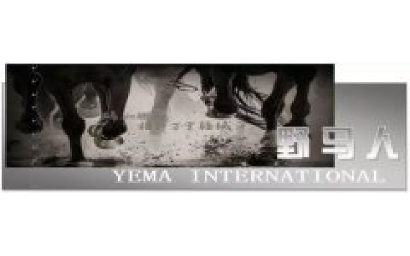 慶祝建黨100周年丨我們在野馬為黨慶生！