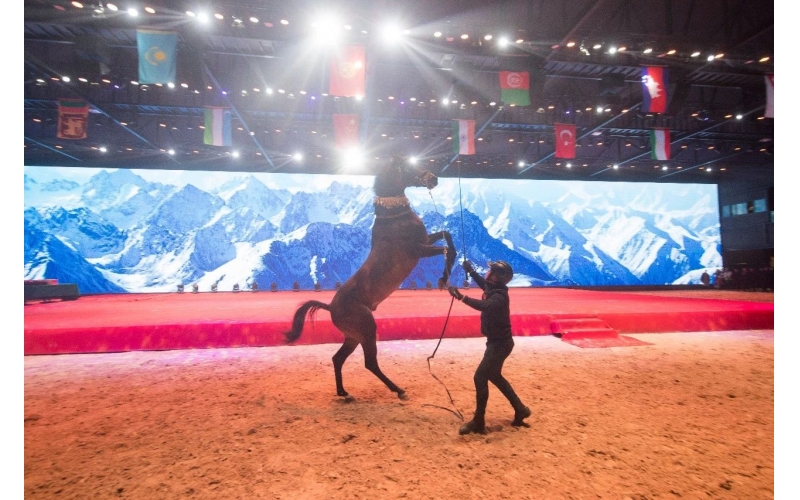 住馬酒店、吃馬肉腸、喝馬奶粉、品馬奶酒--