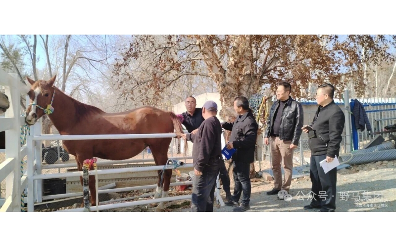 政策支持 企業(yè)發(fā)力 農(nóng)民受益——現(xiàn)代畜禽種業(yè)提升專項(xiàng)資金項(xiàng)目成效顯著