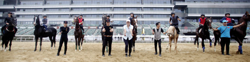 汗血寶馬首次參加正式國(guó)際賽事 10月22日將亮相武漢國(guó)際賽馬節(jié)